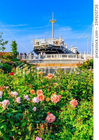 神奈川縣橫濱市春天山下公園玫瑰園和冰川丸 104920738