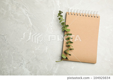 Stylish notebook and eucalyptus on marble table, top view. Space for text Stylish notebook and eucalyptus on marble table, top view. Space for text 104920834