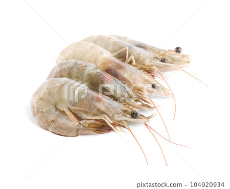 Fresh raw shrimps isolated on white. Healthy seafood 104920934