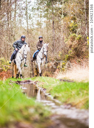 Horse riding, Way of st James in Fragas do Eume, Galicia. Hispanic pilgrim mid couple equitation 104921366