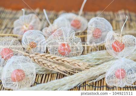 Lots of watermark Physalis on the blinds. Served with dry flowers of wheat and pampas grass. Lots of watermark Physalis on the blinds. Served with dry flowers of wheat and pampas grass. 104921511