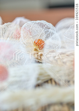 Lots of watermark Physalis on the blinds. Served with dry flowers of wheat and pampas grass. Lots of watermark Physalis on the blinds. Served with dry flowers of wheat and pampas grass. 104921516