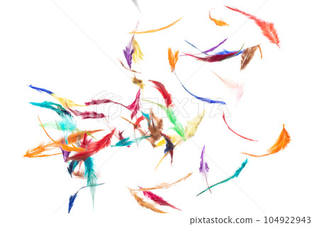 Many color Feather fly fall beautiful spiral pattern in air over black background isolated. Puffy Fluffy soft feathers like dream floating dove in sky. Colorful feathers are so light and delicate Many color Feather fly fall beautiful spiral pattern in air over black background isolated. Puffy Fluffy soft feathers like dream floating dove in sky. Colorful feathers are so light and delicate 104922943