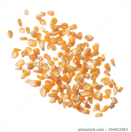 Corn dried seed grain fly in mid air. Yellow Golden corn seed falling scatter, explosion float in shape form line group. White background isolated freeze motion high speed shutter Corn dried seed grain fly in mid air. Yellow Golden corn seed falling scatter, explosion float in shape form line group. White background isolated freeze motion high speed shutter 104922963