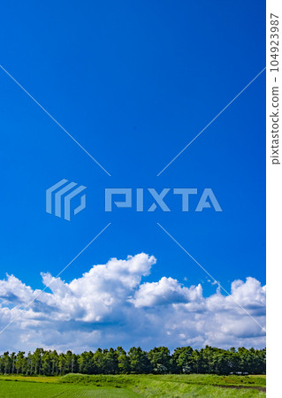 初夏高原藍天白雲_001 104923987