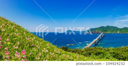 小色島_從鳥之巢山展望台看到的小色大橋,清澈的海水、島嶼和天空都很美麗 小色島_從鳥之巢山展望台看到的小色大橋,清澈的海水、島嶼和天空都很美麗 104924232