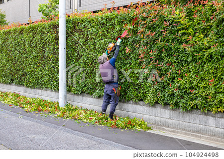 園丁和園林設計師的修剪工作 園丁和園林設計師的修剪工作 104924498