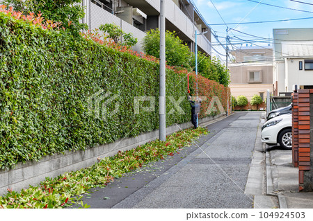 園丁和園林設計師的修剪工作 104924503