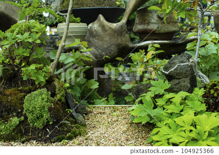 Plant nature background and natural podium for product synthesis 104925366
