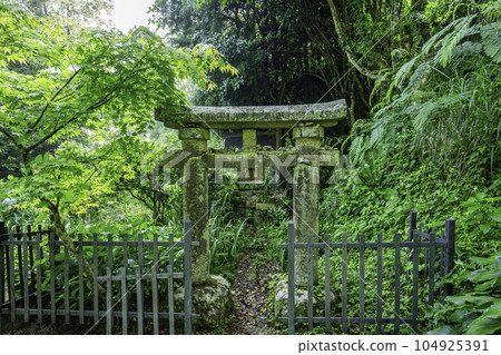 Sera, Ima Koyasan, Awashima Shrine Torii, Sera Town, Hiroshima Prefecture Sera, Ima Koyasan, Awashima Shrine Torii, Sera Town, Hiroshima Prefecture 104925391