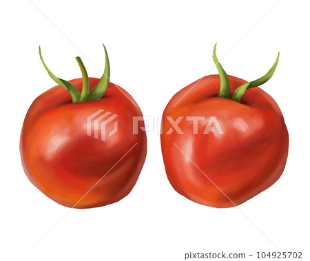 A set of two ripe red juicy tomatoes on a white background. Digital illustration. Farmer's harvest of healthy vegetables, organic products for the diet. For compositions, prints, posters, stickers 104925702