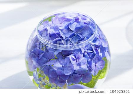 flower base and hydrangea 104925891