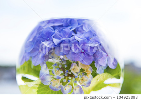 flower base and hydrangea 104925898