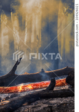 Dry weather in el nino events cause wildfire increase in southeast asia. Dry weather in el nino events cause wildfire increase in southeast asia. 104926021
