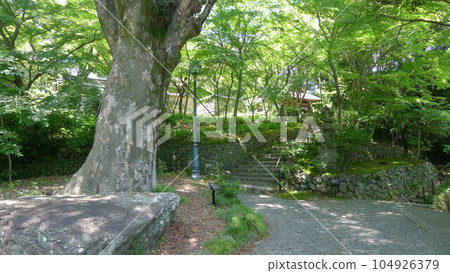 民俗文化館別館 松永紀念館/舊櫸樹莊 民俗文化館別館 松永紀念館/舊櫸樹莊 104926379