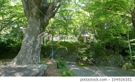 Folk Culture Museum Annex Matsunaga Memorial Museum/Old Keyakiso Folk Culture Museum Annex Matsunaga Memorial Museum/Old Keyakiso 104926381
