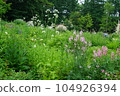 園林花卉 104926394