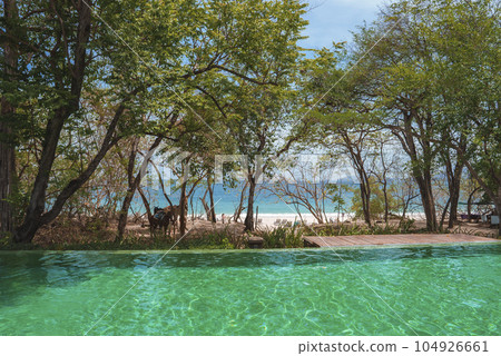 Scenic view of horse amidst luxury resort hotel swimming pool and beach in the background at Costa Rica. 104926661