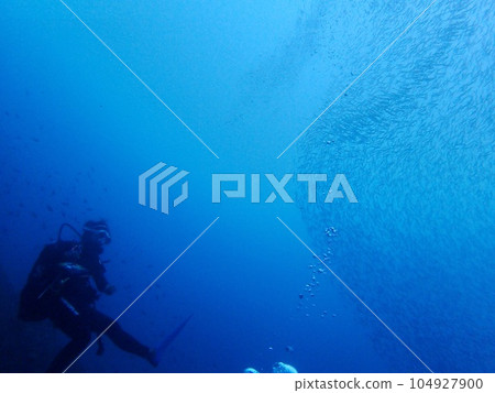 Diving in the beautiful sea of Goto 104927900