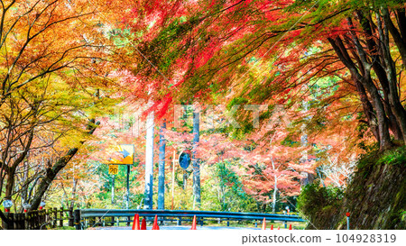 奧津溪谷的紅葉景色|16:9 奧津溪谷的紅葉景色|16:9 104928319
