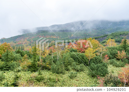 秋葉山被雲彩覆蓋 秋葉山被雲彩覆蓋 104929201