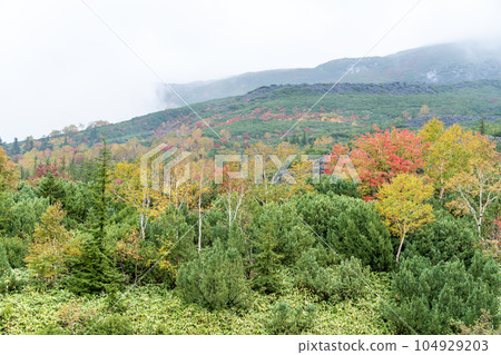 秋葉山被雲彩覆蓋 秋葉山被雲彩覆蓋 104929203