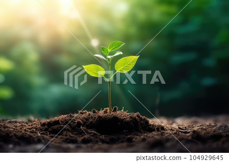 Seedling are growing from the rich soil. Concept of business growth, profit, development and success. Generative AI 104929645