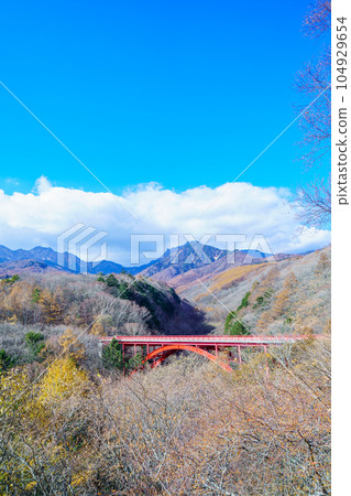 "Yamanashi Prefecture" Higashizawa Ohashi Bridge and Mt. Yatsugatake dyed in autumn leaves Hokuto 104929654