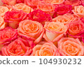 Stack of colorful rose bouquet . 104930232