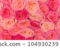 Stack of pink rose bouquet . 104930239