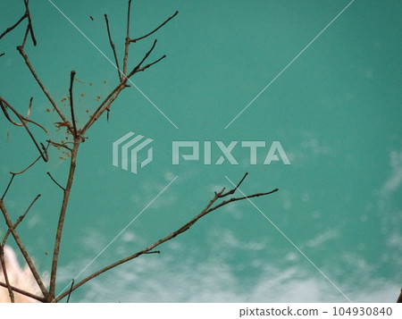 木頭和水 104930840