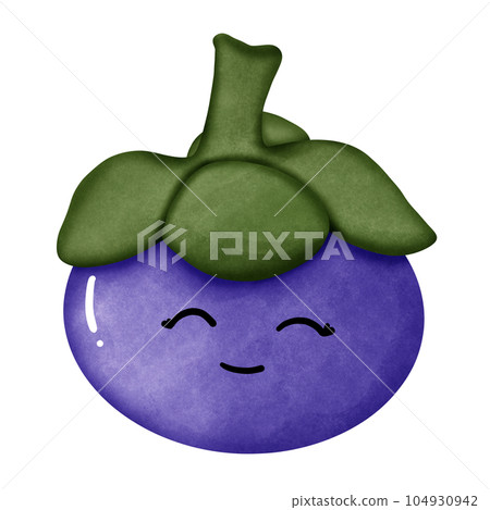 Mangosteen  104930942