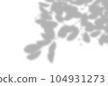 Overlay shadow from windows, openings and tropical plants. 104931273