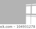Overlay shadow from windows, openings and tropical plants. 104931278