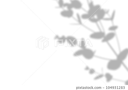 Overlay shadow from windows, openings and tropical plants. Overlay shadow from windows, openings and tropical plants. 104931283