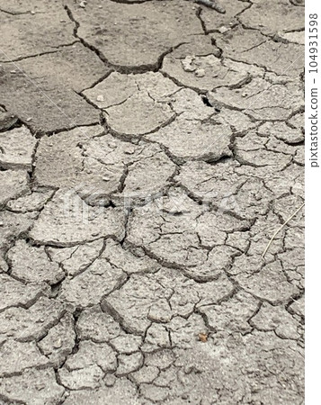 Dry ground Dry ground 104931598
