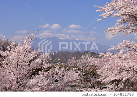 山梨縣韭崎市神山町鍋山 河邊盛開的吉野櫻和白雪皚皚的八嶽山 山梨縣韭崎市神山町鍋山 河邊盛開的吉野櫻和白雪皚皚的八嶽山 104931796