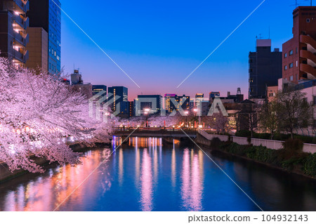 東京河畔的夜晚櫻花燈飾門前仲町 東京河畔的夜晚櫻花燈飾門前仲町 104932143