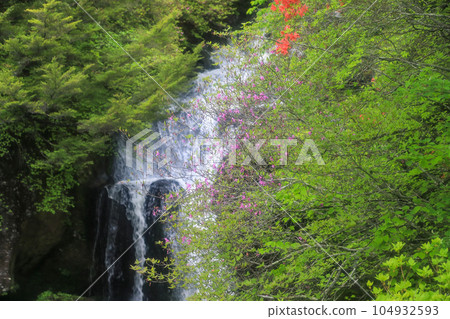 Waterfall and azalea Waterfall and azalea 104932593