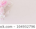 Pink peony flower 104932796