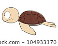 sea turtle sideways 104933170