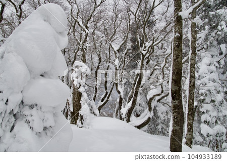 日葉山皇陵雪景怪物 日葉山皇陵雪景怪物 104933189