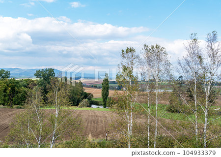 Autumn in Biei, northwestern hill Autumn in Biei, northwestern hill 104933379