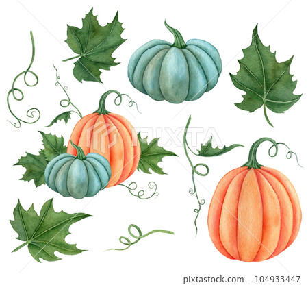 Watercolor set of pumpkins orange, blue colors with leaves. Hand drawn illustration vegetable for the design of signage, agribusiness logo, banner with organic food, healthy brand labels. 104933447