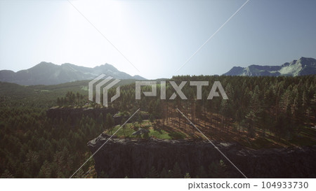 Beautiful pine trees on background high mountains Beautiful pine trees on background high mountains 104933730