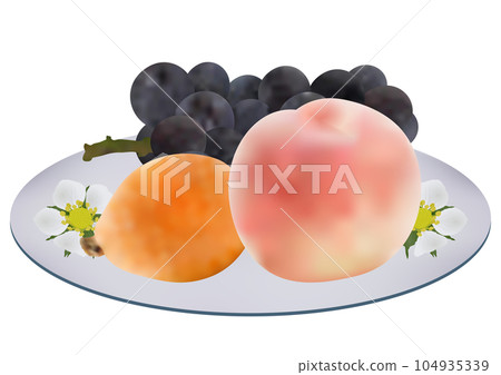 Three kinds of summer fruits served on a plate "Biwa fruit" "Peach" "Grape" White plate Floral pattern Three kinds of summer fruits served on a plate "Biwa fruit" "Peach" "Grape" White plate Floral pattern 104935339
