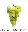 Black grape bunch isolated on white. Vector illustration of dark red grape. 104935573