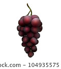 Black grape bunch isolated on white. Vector illustration of dark red grape. 104935575