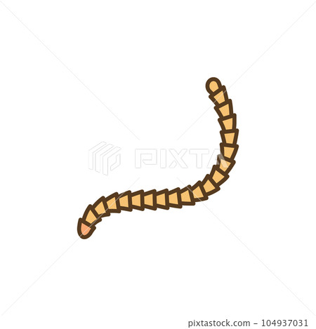 Cestoda vector Parasitic Worm concept colored icon Cestoda vector Parasitic Worm concept colored icon 104937031