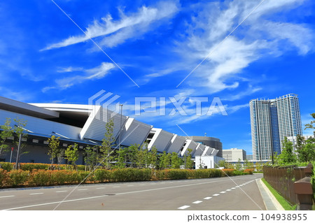 [Tokyo] Toyosu Market under sunny weather (Central Wholesale Market) 104938955
